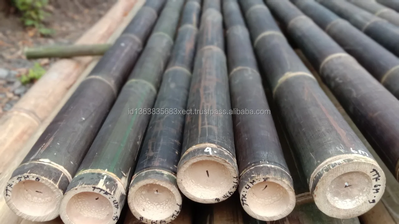600 Cm High Quality Indonesia Bamboo Tropical Black Bamboo Treated For Construction