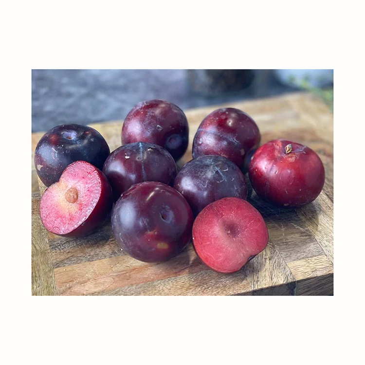 Fresh Tomatoes New Season Delicious High Quality Red Tomato From Cheap SaleHigh-Quality Fresh Red Tomato for Export