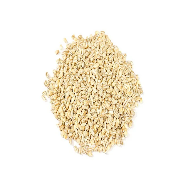 Ячмень чистый травяной зеленый пшеничный ячмень трава сок экстракт порошковый экстракт ячменной травы