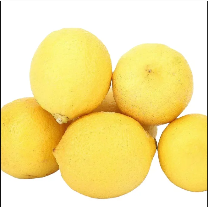 100% Natural Best Wholesale Price high quality Fresh Lemons from Vie