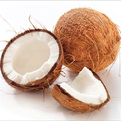 NEW ARRIVAL !!Semi-Husked Fresh mature coconut in bag Fresh newly harvested made in Viet Nam Fresh Coconut Natural Sweet Coconut