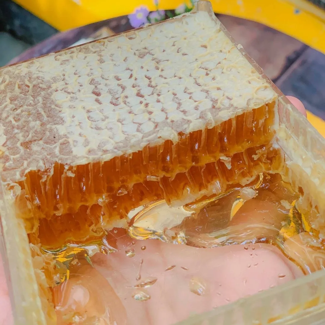 VIETNAM PURE RAW HONEY COMB PREMIUM ORGANIC BEE HARVESTED GOLDEN BEESWAX NATURAL SWEETNESS STRAIGHT FROM VIETNAM