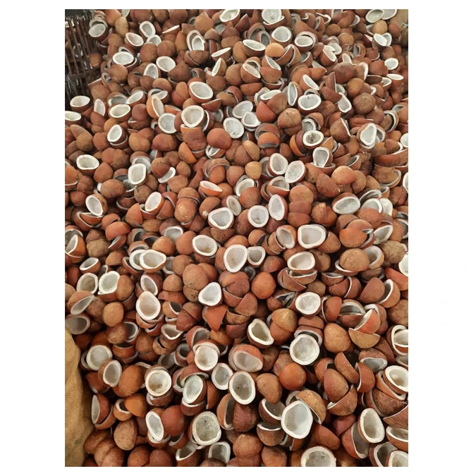 High Quality Best Price Coconut Metric Ton-wise Coconut Copra From Indonesian Agriculture