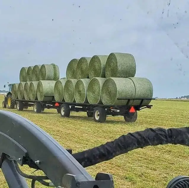 Alfalfa Hay Rolls.jpg