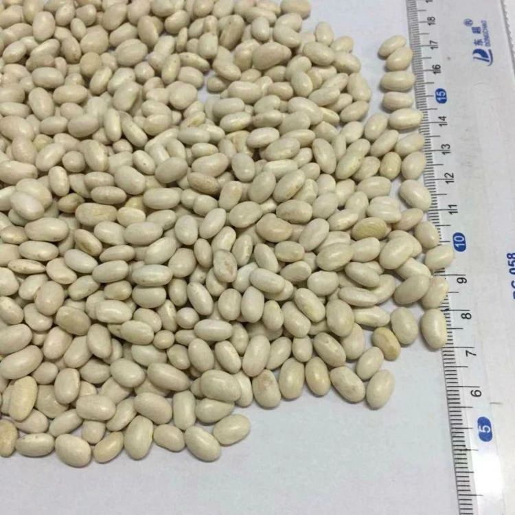 Kidney Beans 2023 New Crop Red Kidney Beans Price