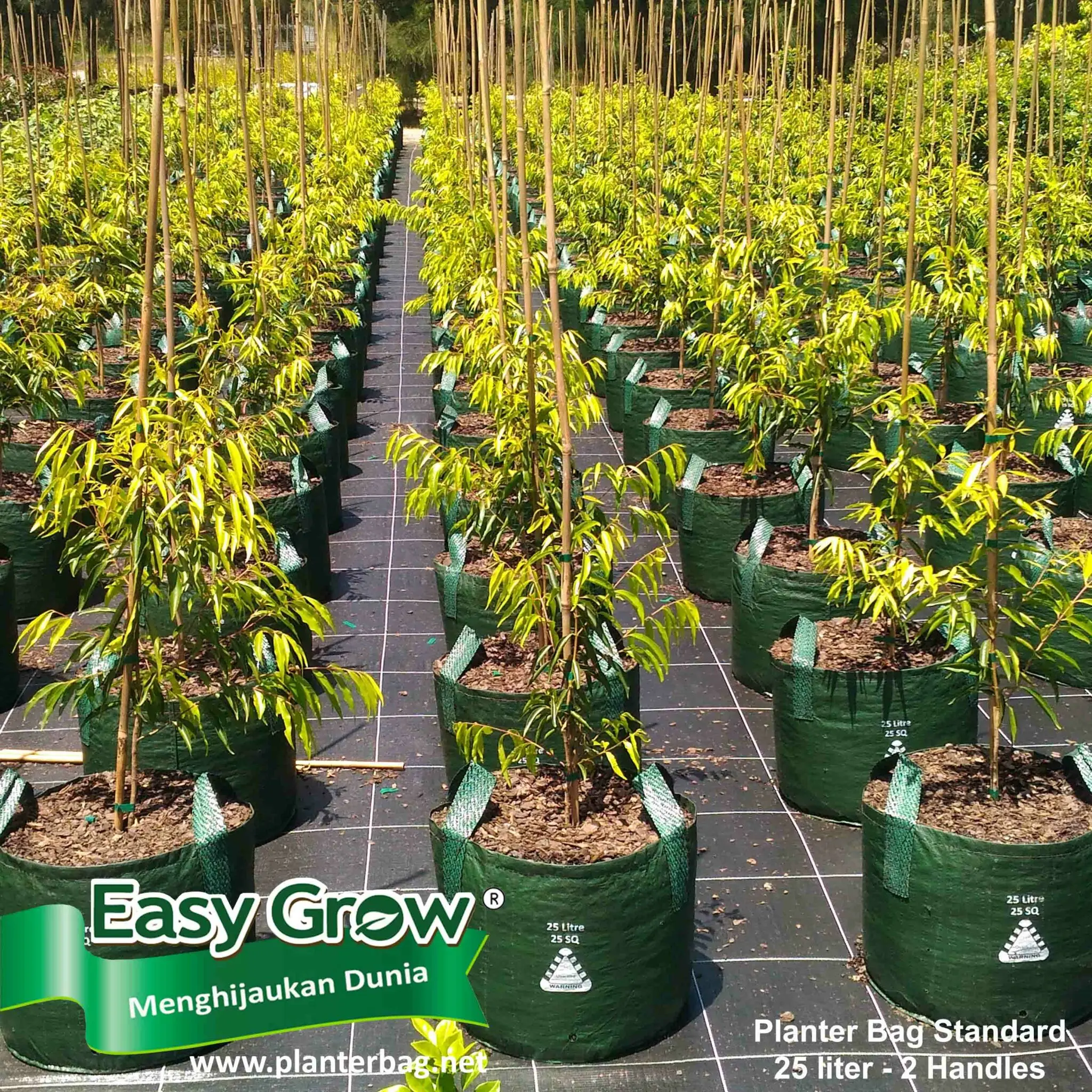 Planter Bag Easy Grow with Handles Plastic UV Protection 11 15 18 20 25 30 35 45Liter All Size Green Black White Customized Logo