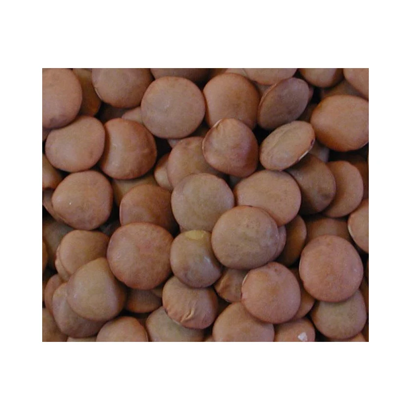 По оптовым ценам от поставщика оптового свежий запас Органическая чечевица