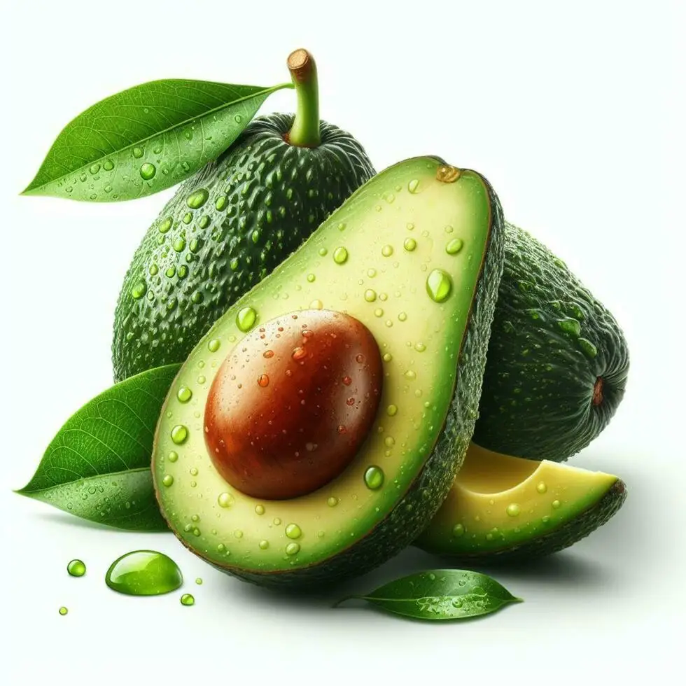 Quality Fresh avocado Fast Shipping with carton high quality avocado/Fresh Avocado for sale