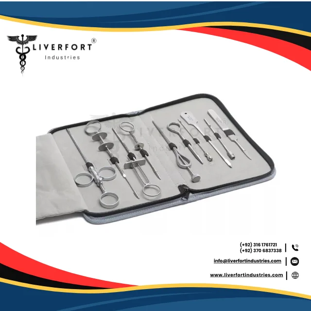 Premium Quality Teat Udder Cannula or Needles 10 Piece Set Stainless Steel with Zipper Case Professional Cattle Veterinary Tools