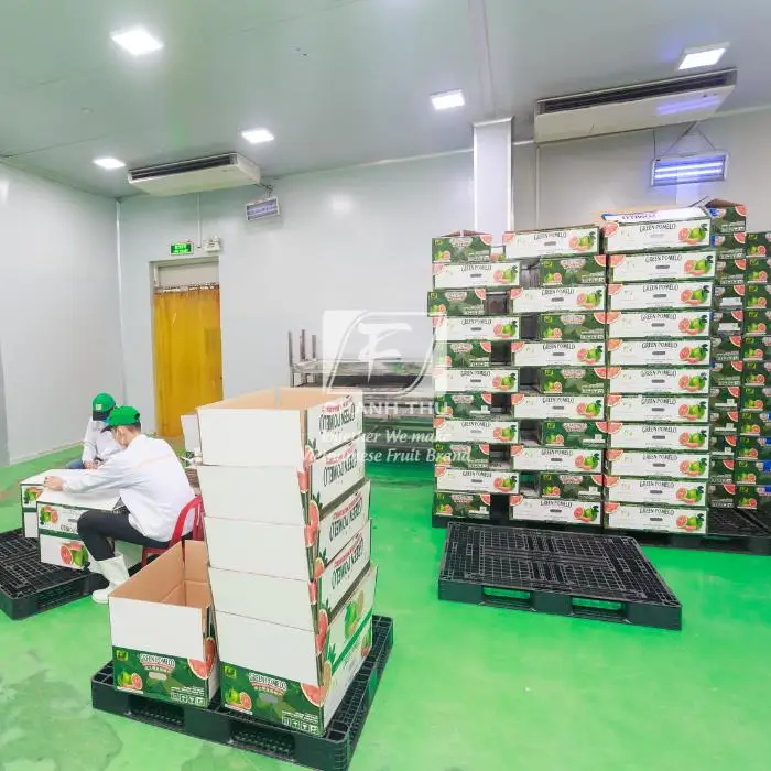 Top Fresh Honey pomelo Wholesale Slightly Sour And Less Seed Pomelo Fruit Fresh Pomelo Red/White Meat For Export