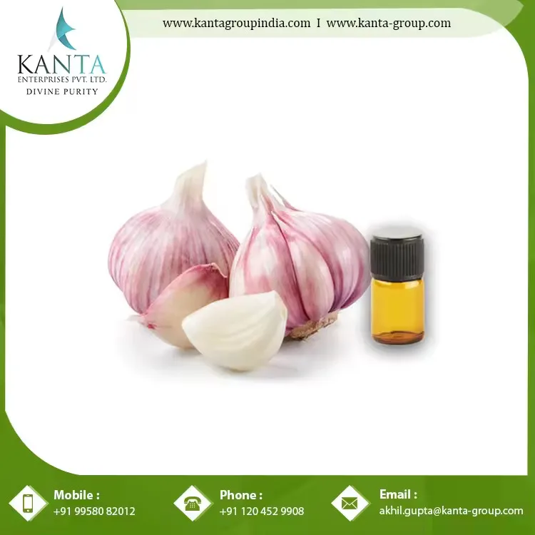 Premium Quality Hair Care Benefits Garlic Essential Oil helps Fight Dandruff and Split ends of hair buy from India