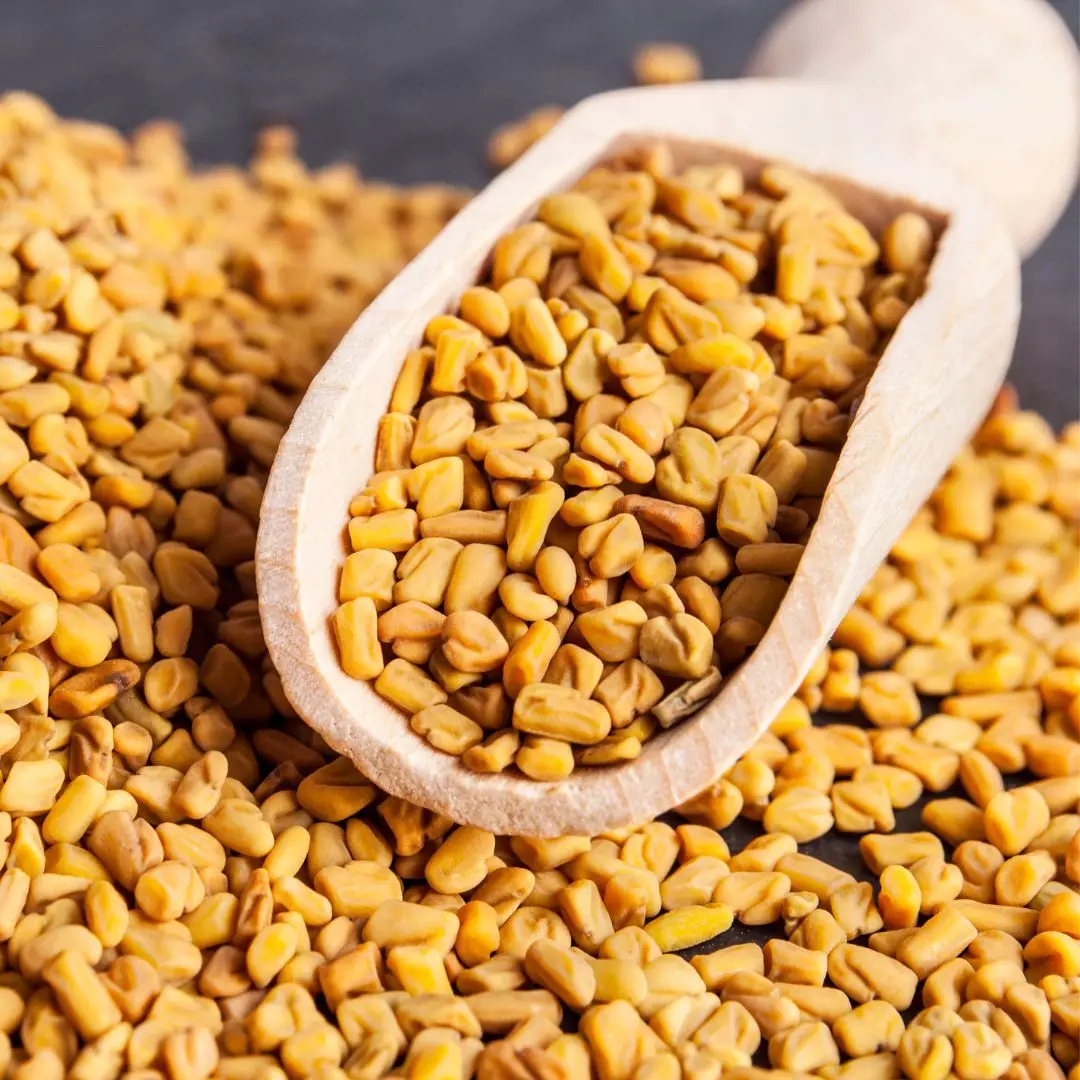 New Arrival Natural Fenugreek Seeds Varieties Food Grade Spices Fenugreek Seeds Wholesale Price