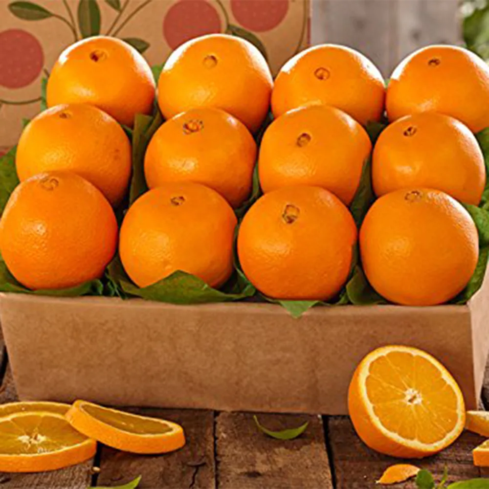 Fresh Navel Valencia oranges , Citrus from Egypt