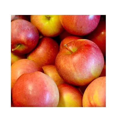 Свежие Яблоки Winesap оптом по низкой цене