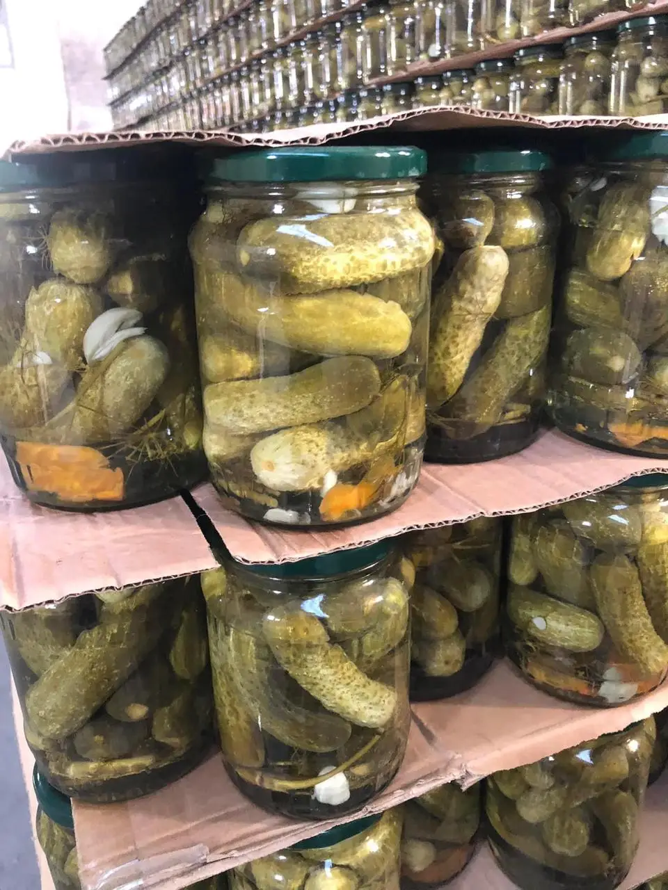 BEST SELLER PICKLED GHERKINS - HOT SALES CANNED PICKLED CUCUMBER