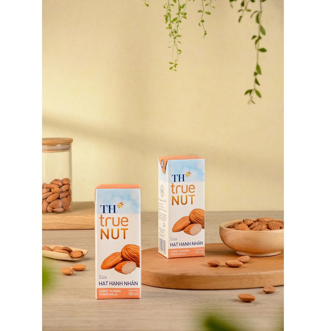 Almond Milk TH true NUT 180 ml Sterilized 9 Months Shelf Life High Quality Blended Dairy Products Drink Flavored Milk