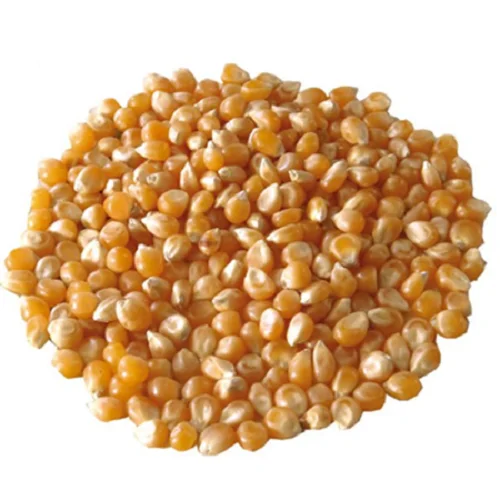 Air Dried Non GMO Yellow White Corn