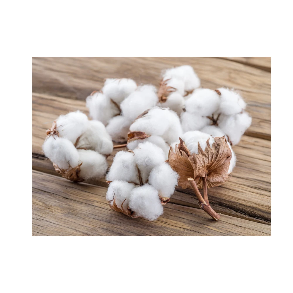 Эксклюзивная сделка хорошего качества, 100% чистый хлопок, сырье, оптовая продажа, оптовый экспорт из Индии