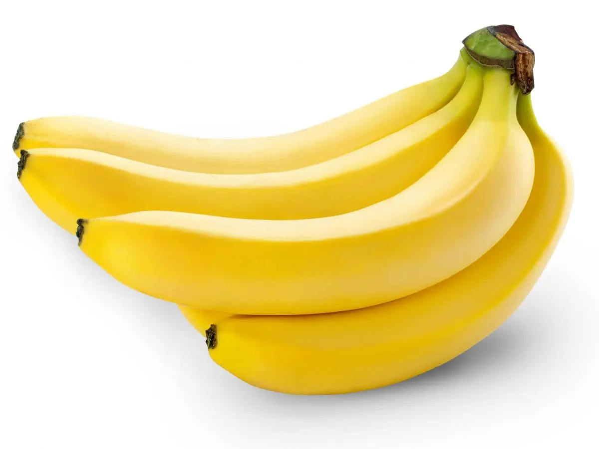 Best Selling Of Fresh Banana For Eat By India Supplier