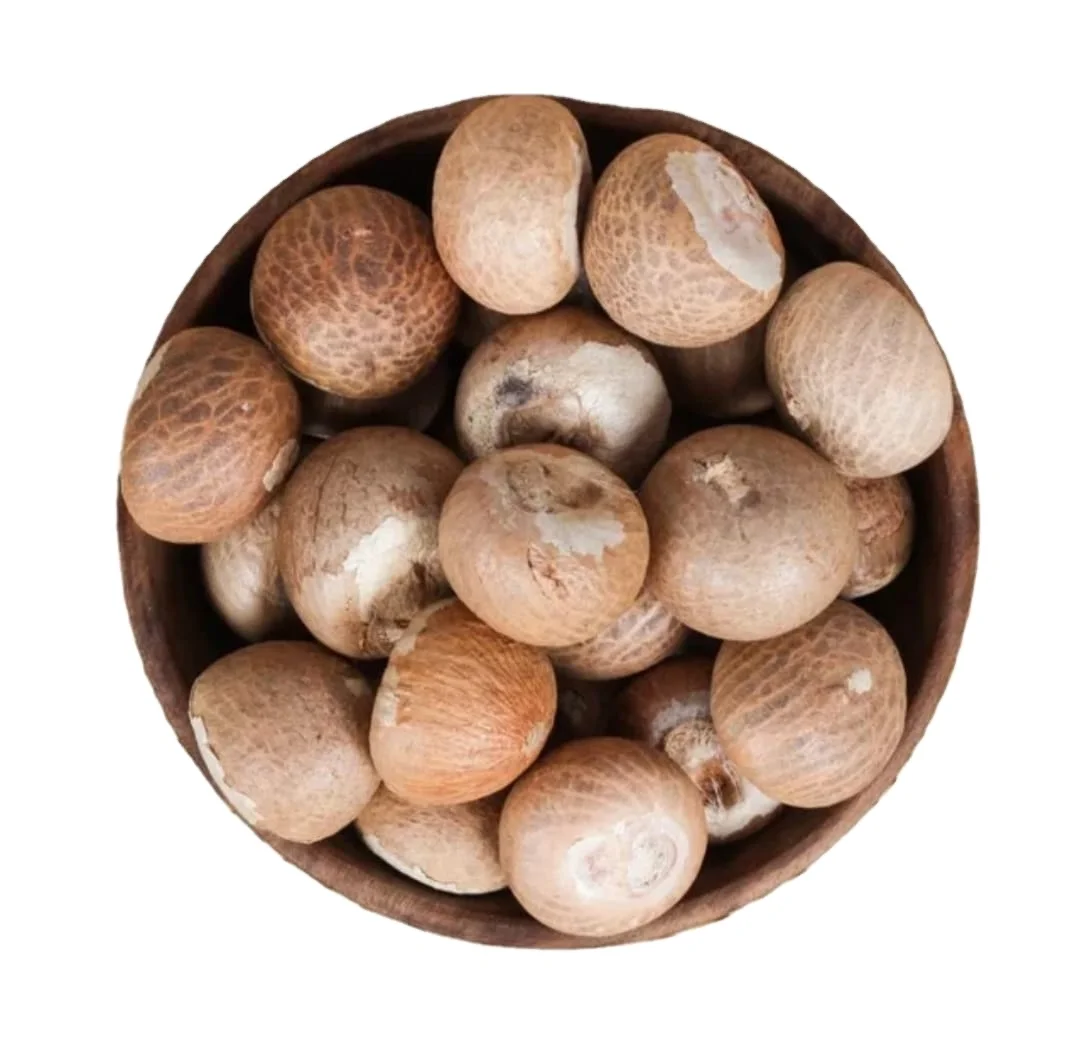 Areca Whole Betel Nut Young Betel Nuts For Candy Areca Catechu Whole Dried Young Betel Nut From USA