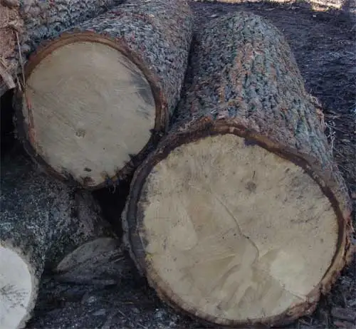 Деревянные бревна Papao или Afzelia, высокое качество, деревянные бревна Afzelia, Тиковая древесина