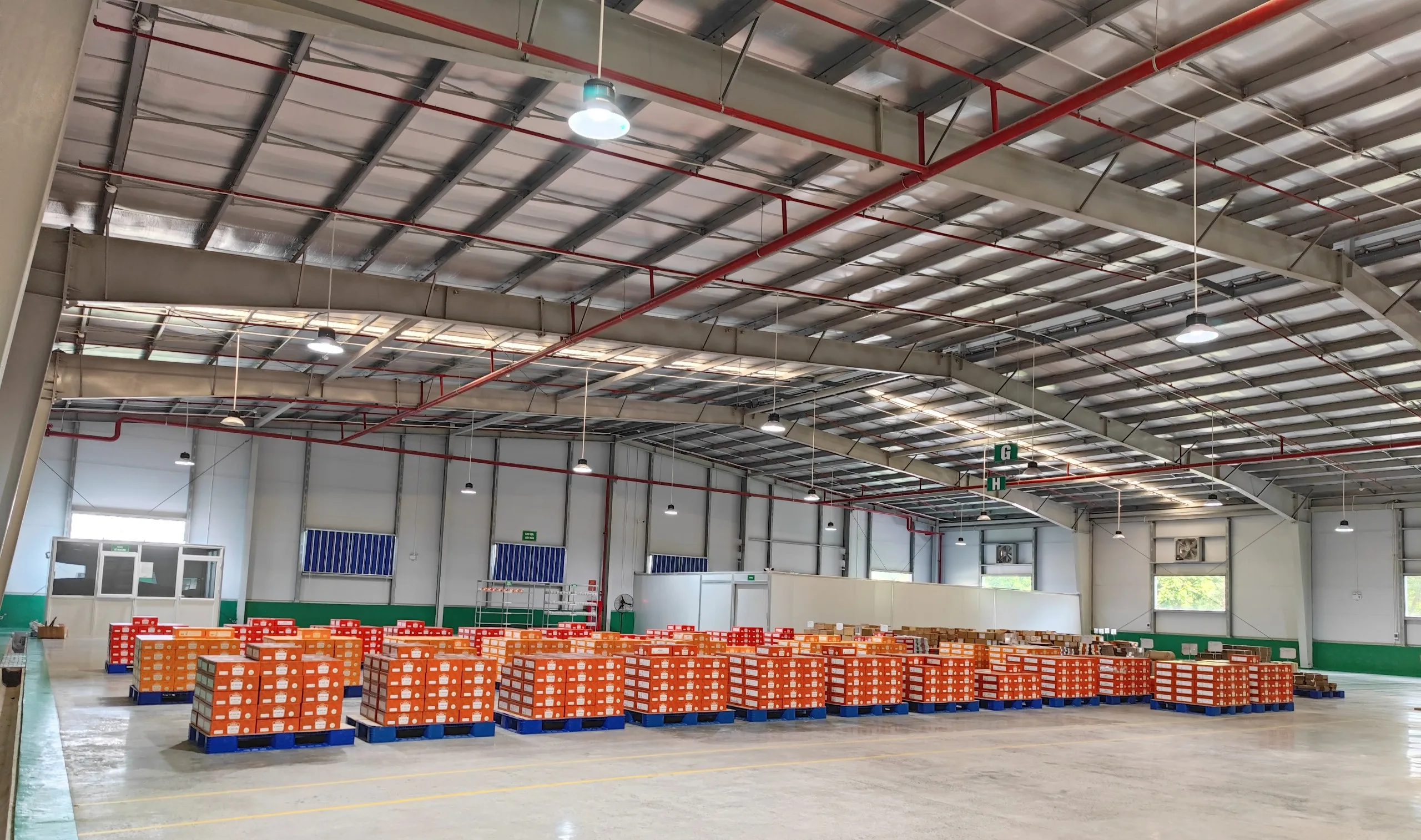 High Quality Chicken & Mushroom Sauce from Vietnam Delicious Export Grade in Bag Packaging Wholesale Product