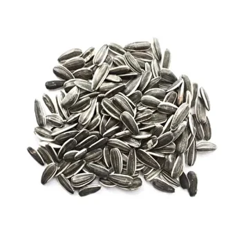 High Quality Raw Natural Sunflower Seeds Original sunflower seeds original sunflower seeds Low price