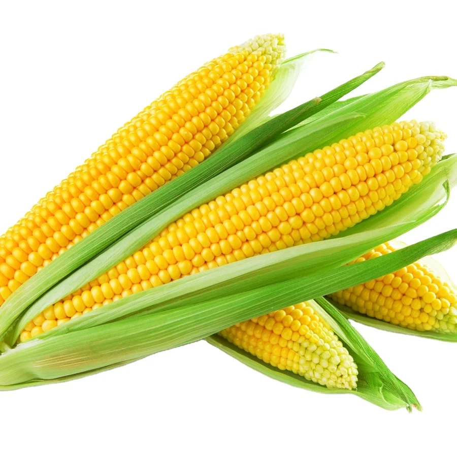 Горячий продукт! Предложение замороженная белая кукуруза с высоким качеством и Лучшая цена замороженные и свежие овощи