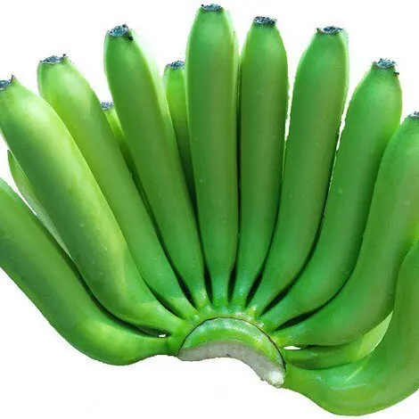 Top Quality Fresh Bananas Delicious and Sweet Taste Cavendish Banana Prices Natural 99.9 % Fresh