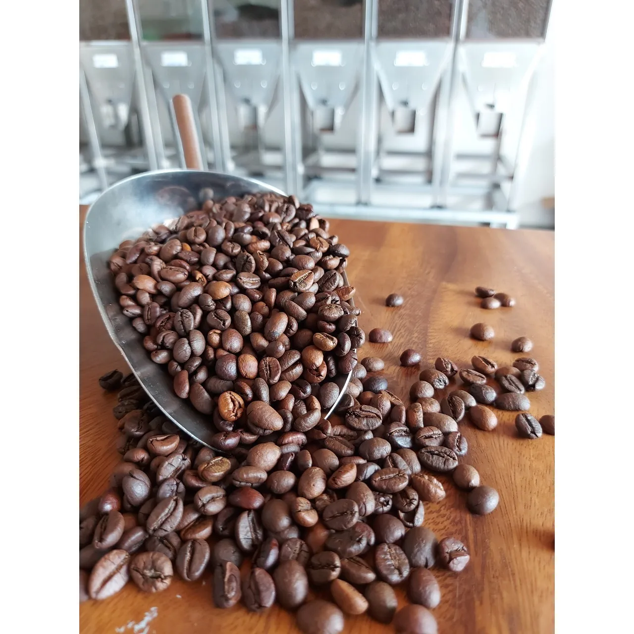 High Quality Robusta S18 Roasted Carpentry Coffee Beans Medium Roasted Robusta  Medium Roasted