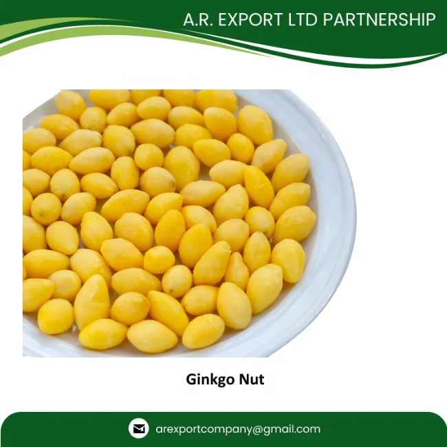 Best Grade Quality Ginkgo Nuts in Thailand from Premium Ginkgo Nuts Exporter