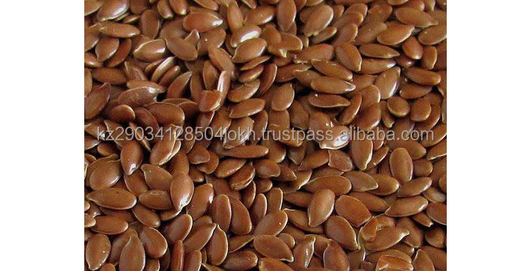 Oil flax seeds harvest 2021 Kazakhstani origin shipment in bulk in 20 and 40 foot containers