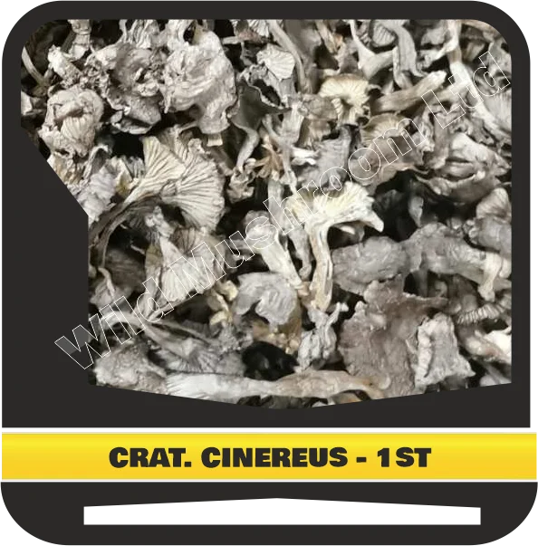 Dried Craterellus cinereus (The Fragrant Trumpet) -  First grade