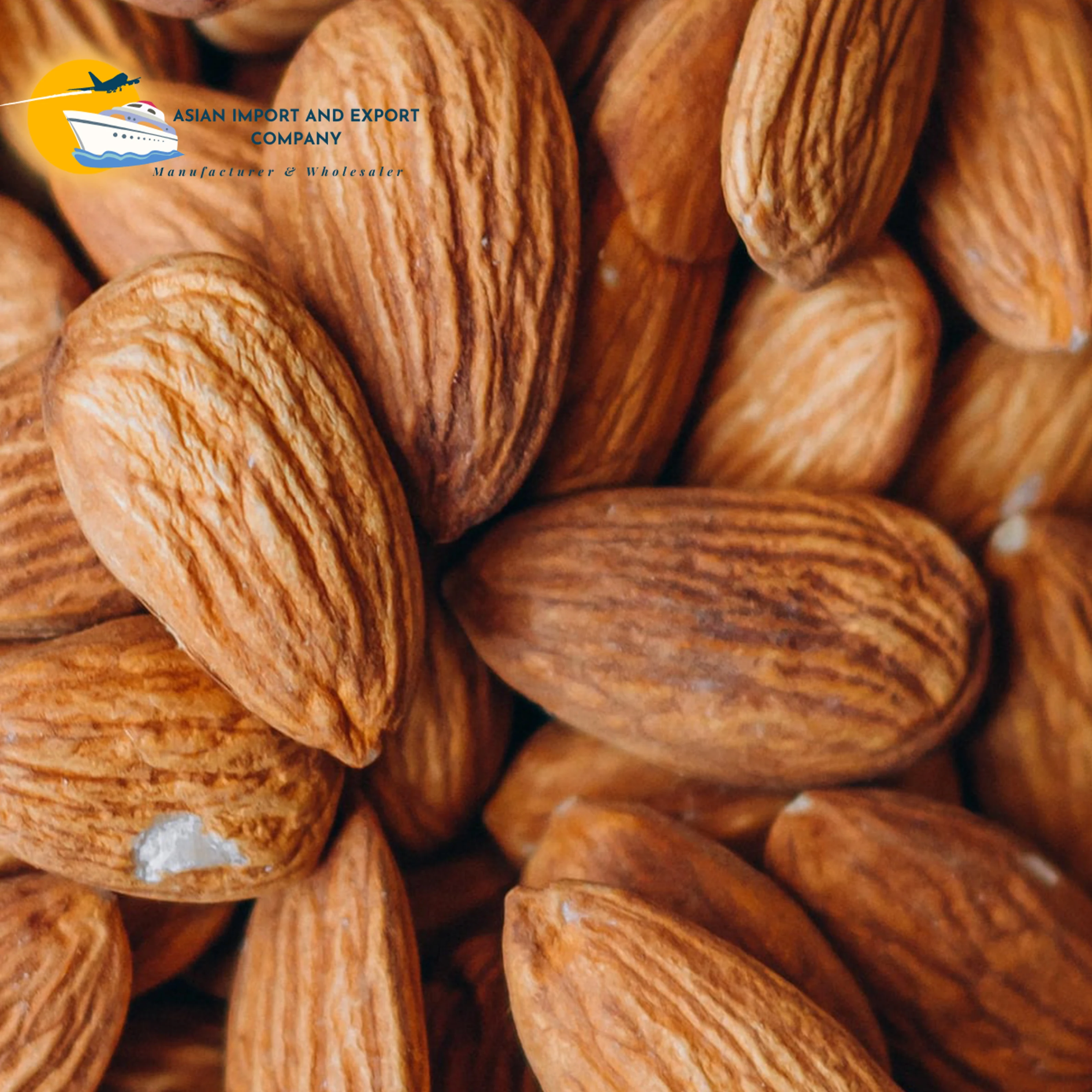 Wholesale Dried Raw Almond Badam Natural Flavor Almond Nuts High Quality roasted almond nuts in Bulk