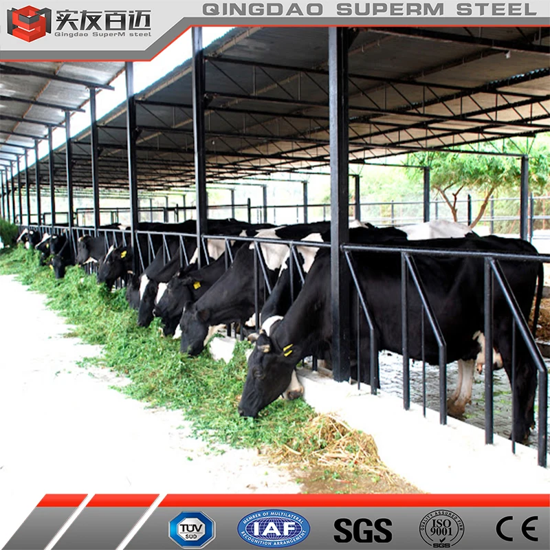 Live Cattle Dairy Farm Shed 1000 Sq Ft Animal Sheds 10000 Sq Ft Animal Goat Shed At Wholesale Rate