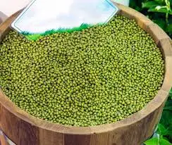 Whole Green Mung Beans from Viet Nam Exporter with the good price and premium quality