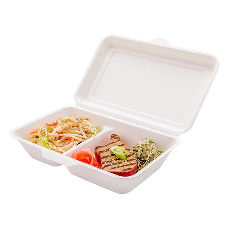 Biodegradable Takeaway Food Box Disposable Bagasse Lunch Box Sugarcane Pulp Packaging for Food