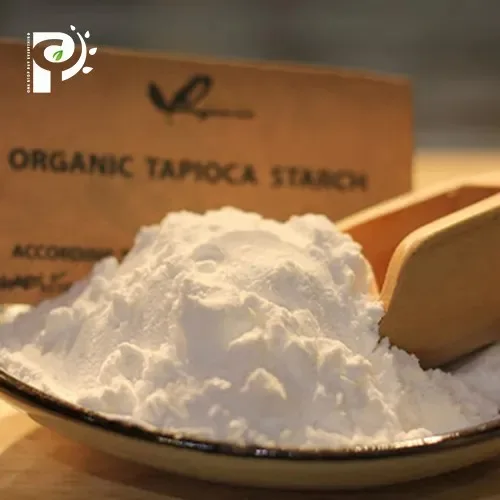 Wholesale High Quality Tapioca Starch 100% Natural From Vietnam Organic Powder Tasty Flavour