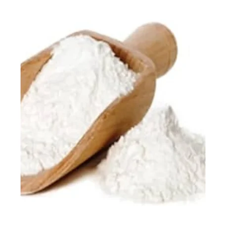 Natural Cuttlefish Bone Powder - Supporting Stronger Beaks, Shells, and Bones for Birds, Reptiles, and Marine Life