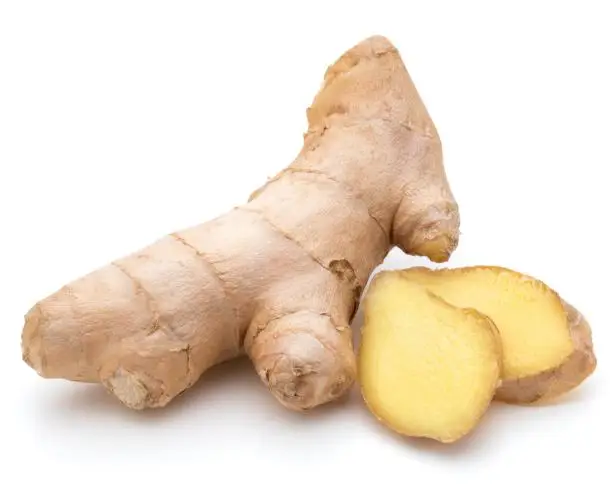 Wholesale Indonesian Elephant Ginger Fresh and Cleaned Grade 1