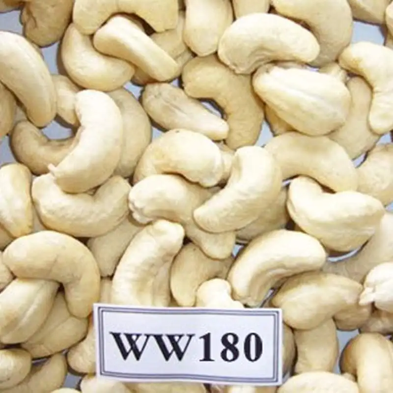 Fresh Kaju Authentic Flavor Hot Sale Natural Wholesale Raw Cashew Nuts (RCN) W180 W240 W320 W450 LP BB Blanched Processing