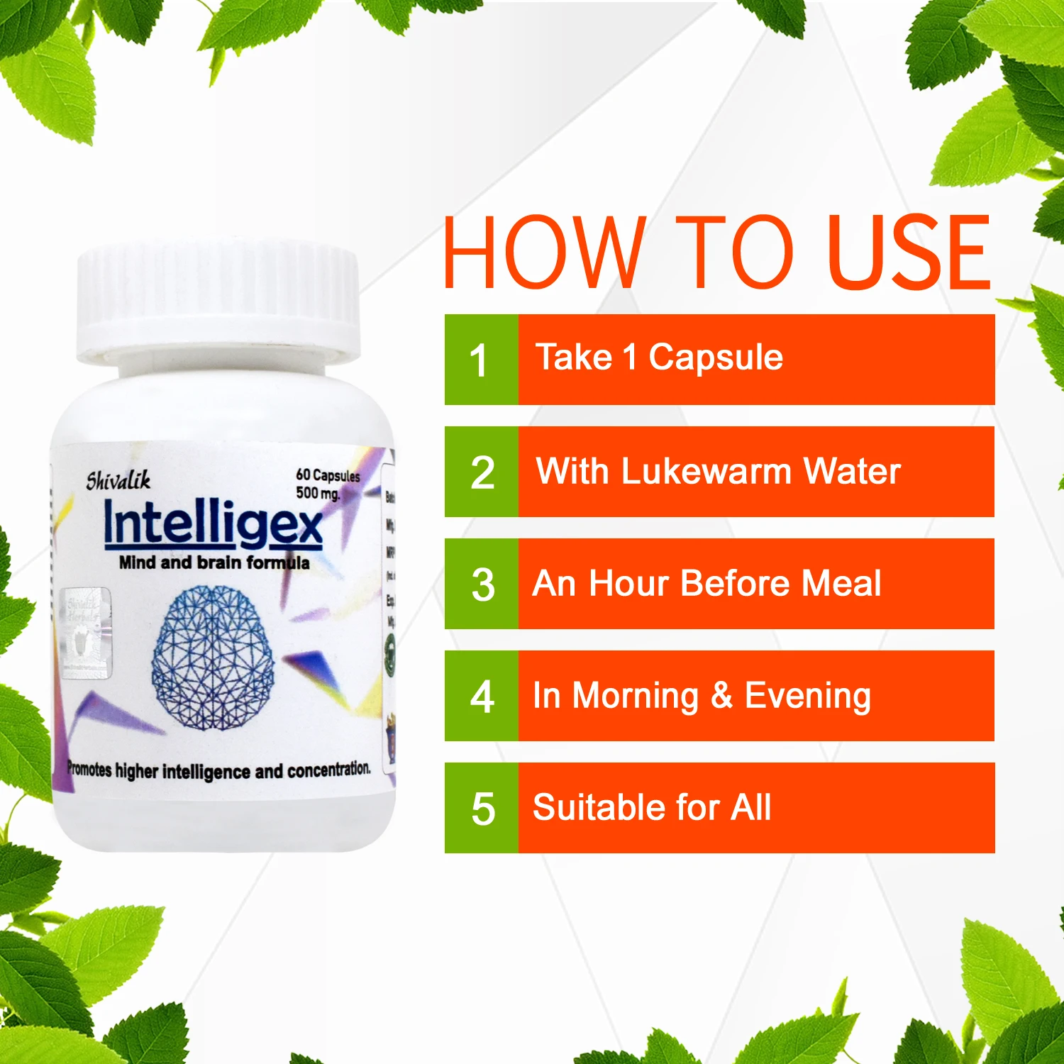 Intelligex help for brain memory focus and concentration reduce recalling time brain cells and tissues