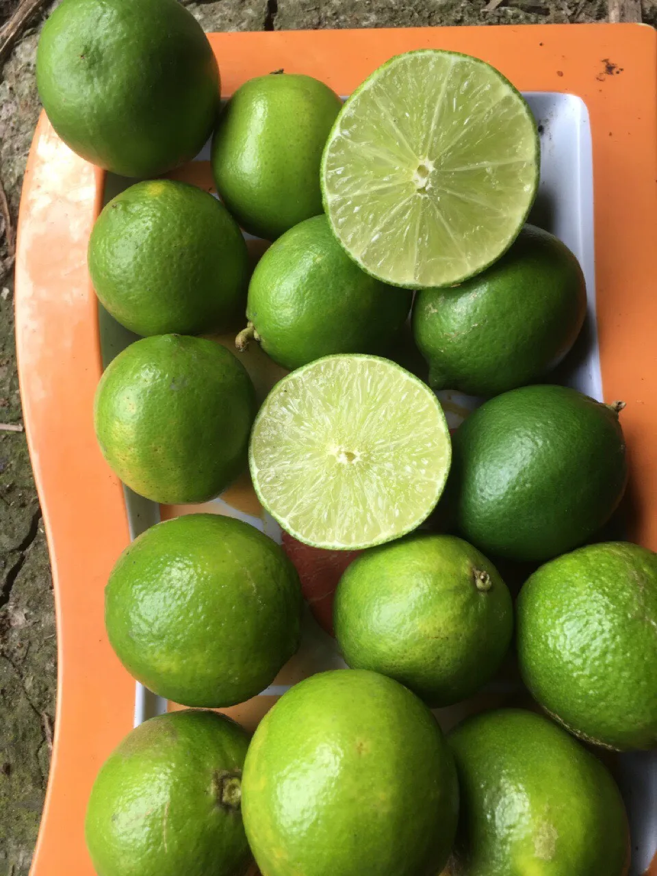 fresh green lime 4.jpg