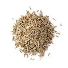 Pure Natural 100% Black Cumin Seed &  Cumin Powder For Sale