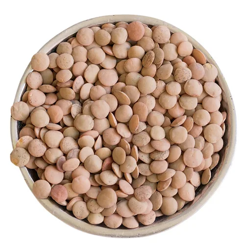 Novelty green lentils for sale  with worldwide delivery grain impurities no more than 3.5% lentils wholesale