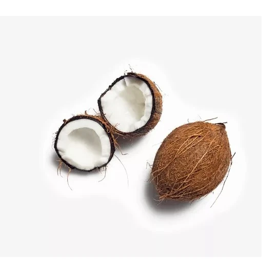 Pure Organic full and semi husked Coconut/Fresh Tender Coconut private label export best price sale