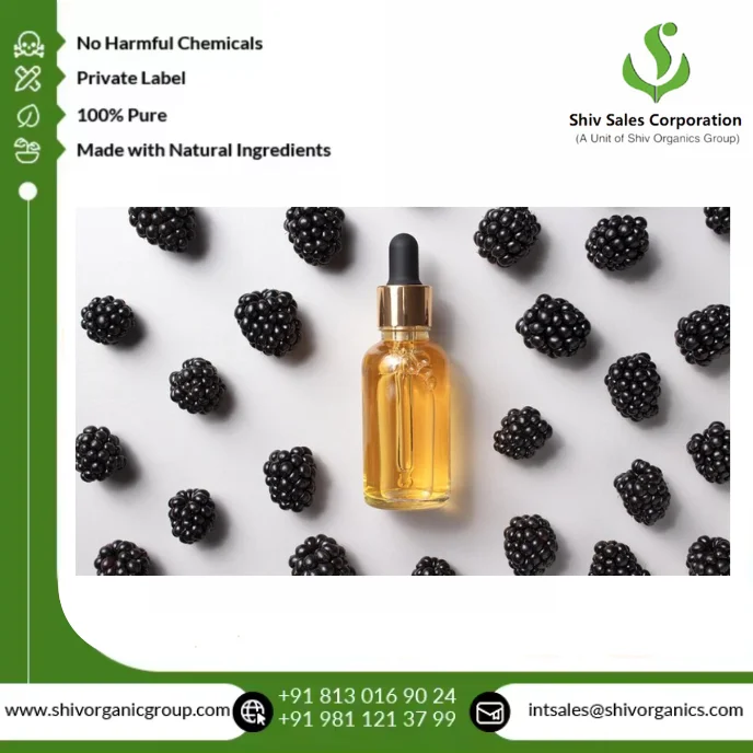 Premium 100% Pure Blackberry Seed Oil Cold Pressed Natural Oil for Cosmetics Skincare and Nutraceutical Applications