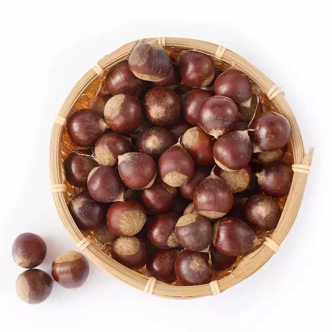 100% Natural Premium Quality Dried Chest nuts Fresh Chestnut/High Quality Fresh Chestnut/Fresh Peeled Chestnut for Sale