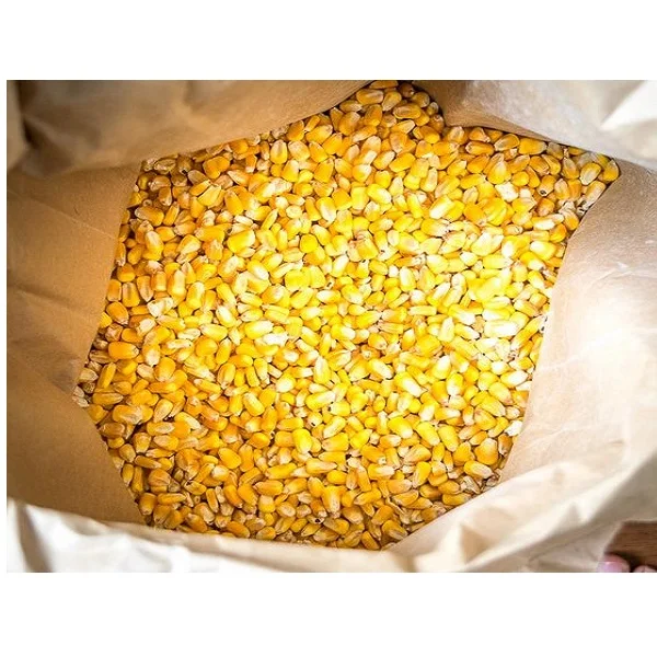 Сухая Желтая Кукуруза для корма для животных оптом Желтая Кукуруза корм для животных низкая цена