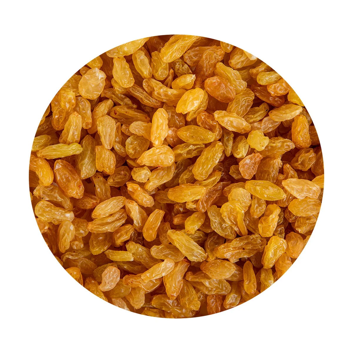Hot Selling raisins dried grapes a source of valuable necessary and extremely useful substances for the body